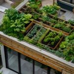 Pourquoi viser une autonomie alimentaire partielle en ville ?