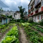 Autonomie alimentaire en ville : viser le réalisme, pas l’autarcie